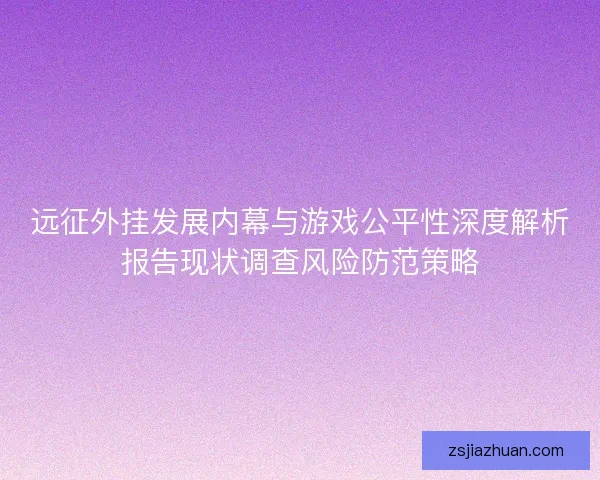 远征外挂发展内幕与游戏公平性深度解析报告现状调查风险防范策略
