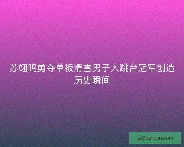 苏翊鸣勇夺单板滑雪男子大跳台冠军创造历史瞬间