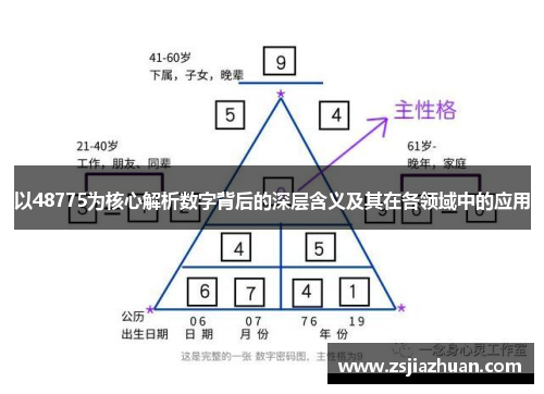 以48775为核心解析数字背后的深层含义及其在各领域中的应用